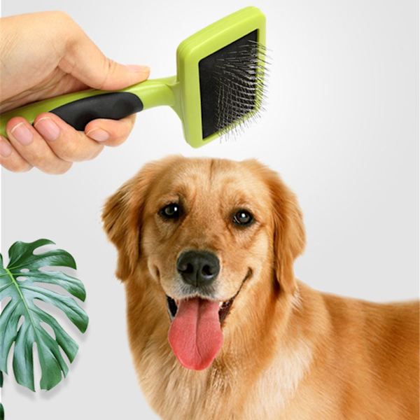 Kæledyrsrengøringskam Hundemassagebadebørste S S