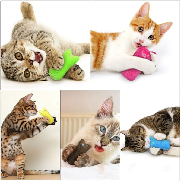 Kattleker Kattemyntepute Kattunge Lek GUL yellow