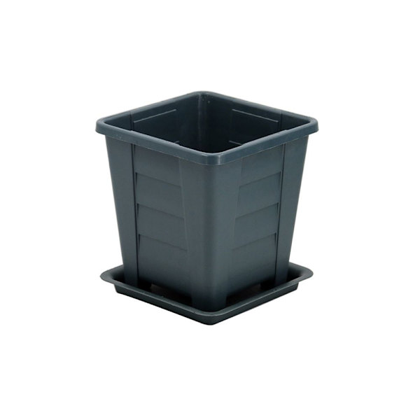 Kukkaruukut Succulent Box S S