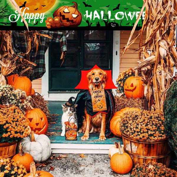Halloween-bannerin taustasisustus