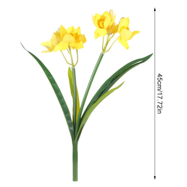 Påskelilje Blomst Narcissus HVIT white