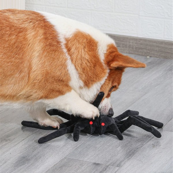 Koiran lelut Slow Feeder Spider