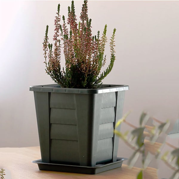 Kukkaruukut Succulent Box M M