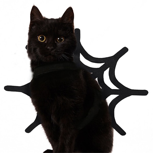 Lemmikkien halloween-vaatteet muuttuneet M M