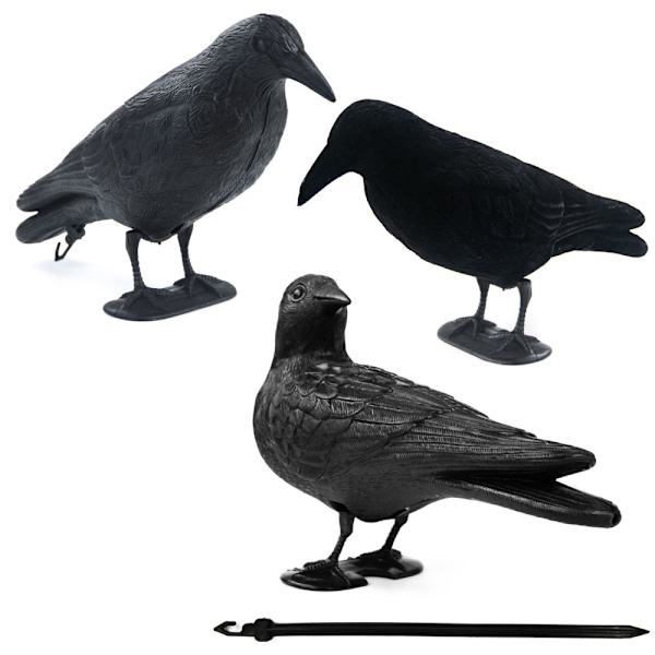 Simulaatio Crow Black Raven Raven Prop