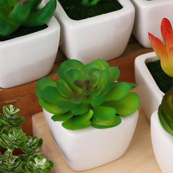 Kunstige miniplanter Sukkulenter Falske blomster 12