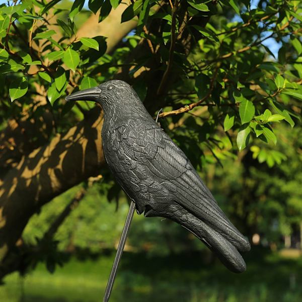 Simulaatio Crow Black Raven Raven Prop