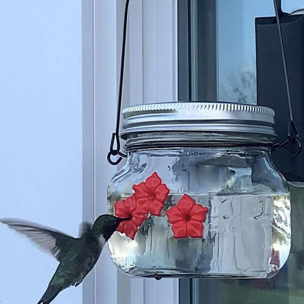 Hummingbird Feeder foderporte Mason Jar