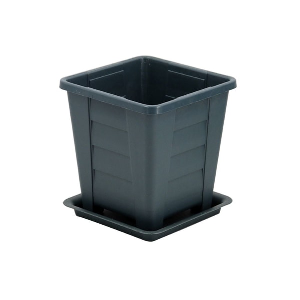 Kukkaruukut Succulent Box M M