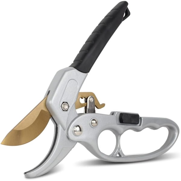 Titanium skralle grensaks