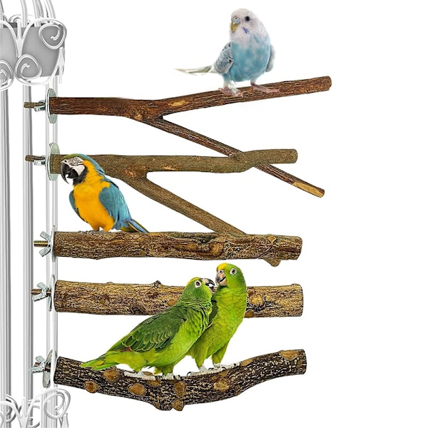 Lintujen orsi, lintuhäkin tarvikkeet, 5 kpl lintujen papukaijaorsi, luonnollinen puinen papukaijaorsi lintuhäkki undulaateille ja linnuille