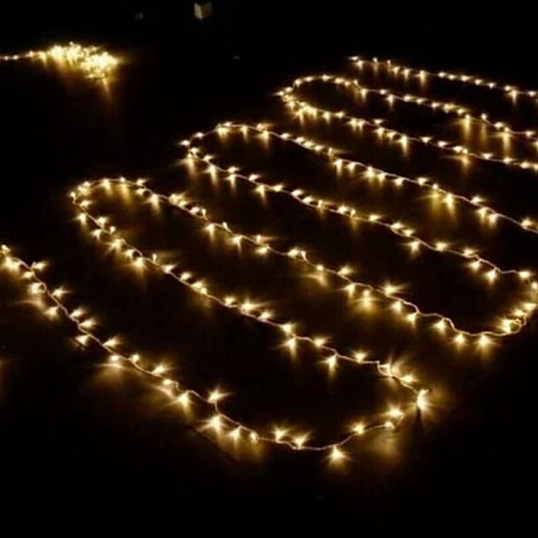 1000 LED Ljusslinga 100M Inomhus Utomhus Trädgårdslampor för Carn{HH}