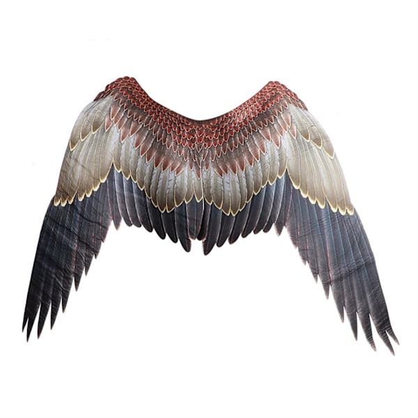 Kuitukangaskangas Juhlava Enkelin Siivet Halloween Ylisuuret Mustavalkoiset Siivet Pukurekvisiitta Ea Eagle Angel Wings