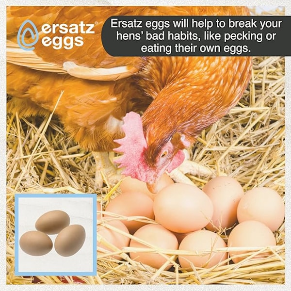 Falske Kyllingegg Sett Tre Falske Egg Hjelper Høner med Egglegging DXGHC