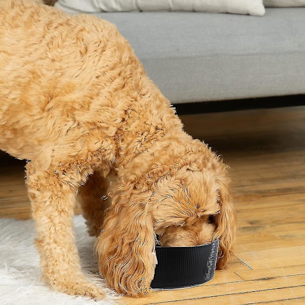 Keramisk hundematbolle - Tung og holdbar mat- og vannskål i porselen, tåler oppvaskmaskin, moderne Black