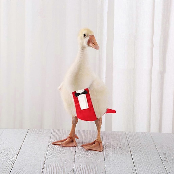 Kananvaipat lemmikkiankoille, siipikarjan vaatteet rusettisolmio-tuxedo-asulla