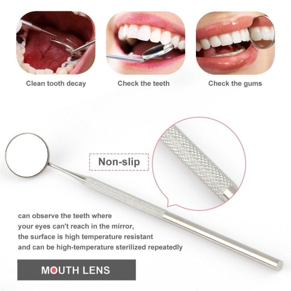 Tandverktyg av professionellt för tandhygien 6 delar med etui Silver