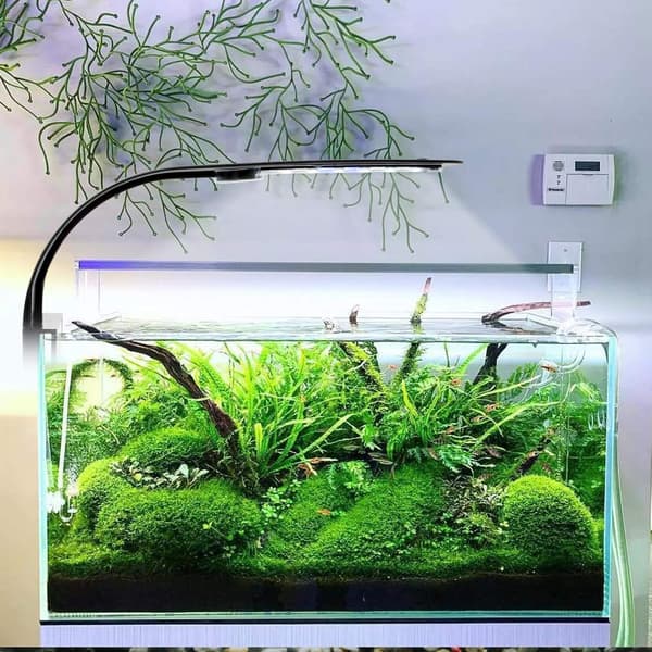 LED-akvarielampe med hvitt, e og blått lys, 2,5A, svart