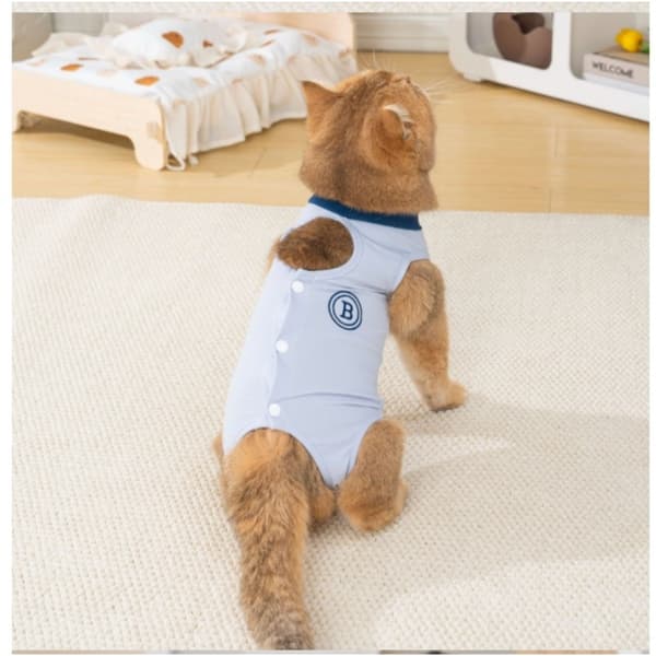 Sommer polyester kat sårdragt mod slikning efter operation og postpartum restitution til kat og hund Blå Marineblå ML XL XL 50 XL