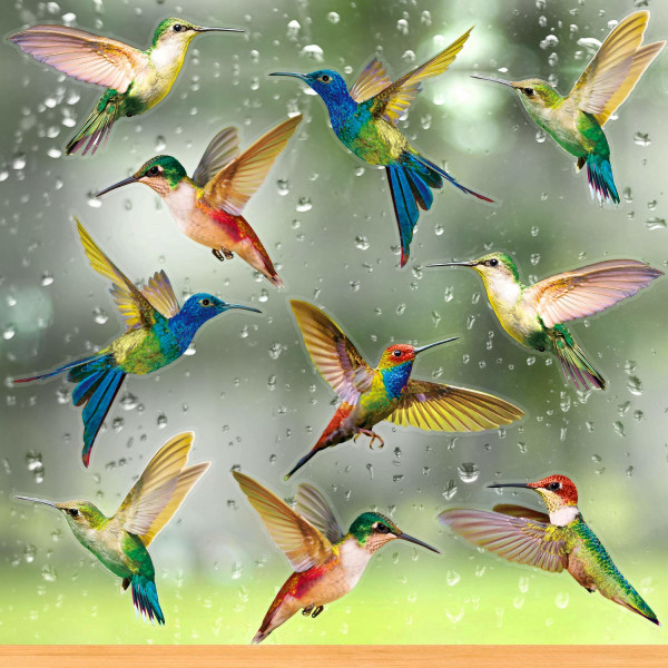 18 st stora kolibrifönsterdekaler anti-kollision