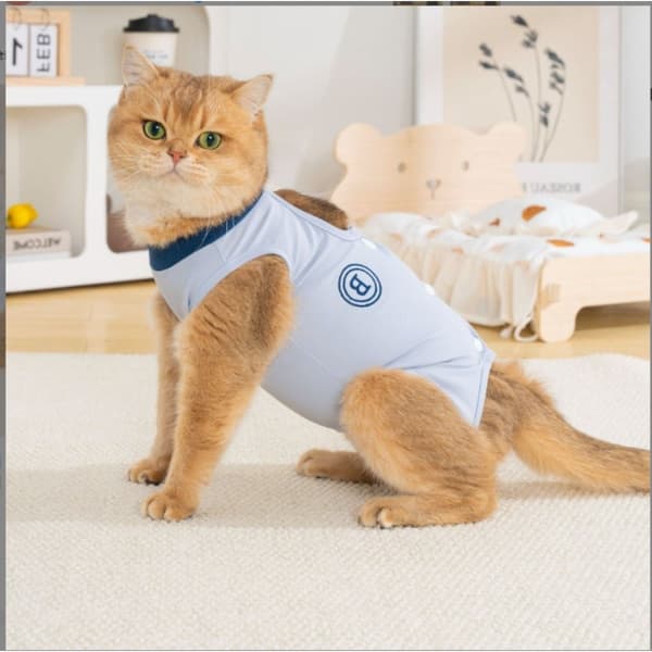 Sommer polyester kat sårdragt mod slikning efter operation og postpartum restitution til kat og hund Blå Marine ML XL L 45 L