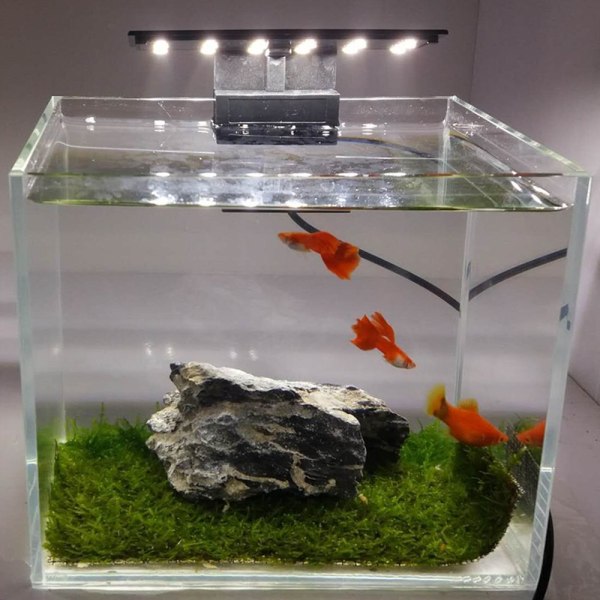 Ultra-tynd akvarie LED-lys Ultra Bright Clip-on 12 LED'er