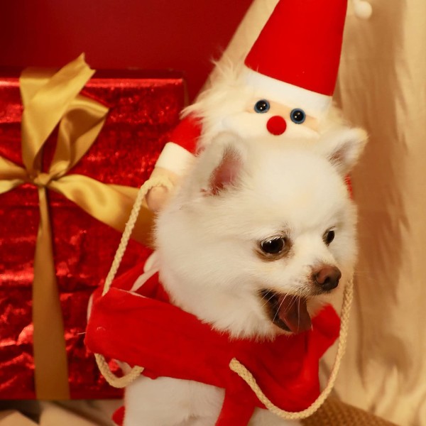 Jultomtens hundkostym, varm plysch snygg söt rolig husdjur för XL