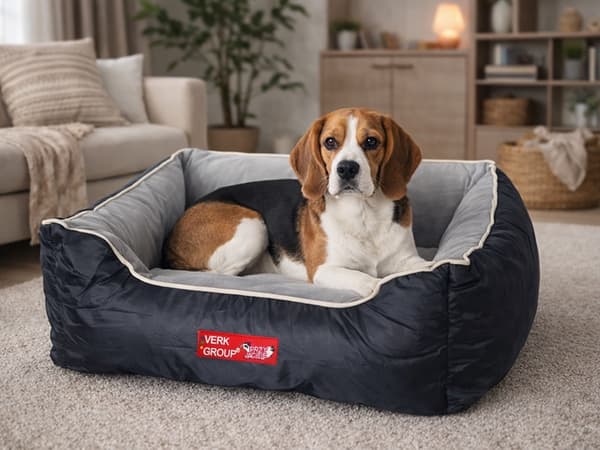 Hundeseng sofa velour medium gray gray