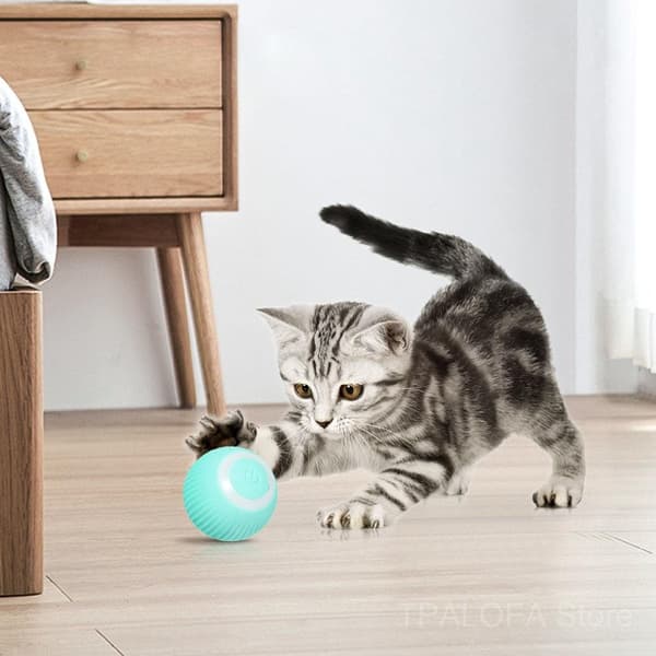 Smart katteleke: Aktiv, USB-lading, 3 programmer Green green
