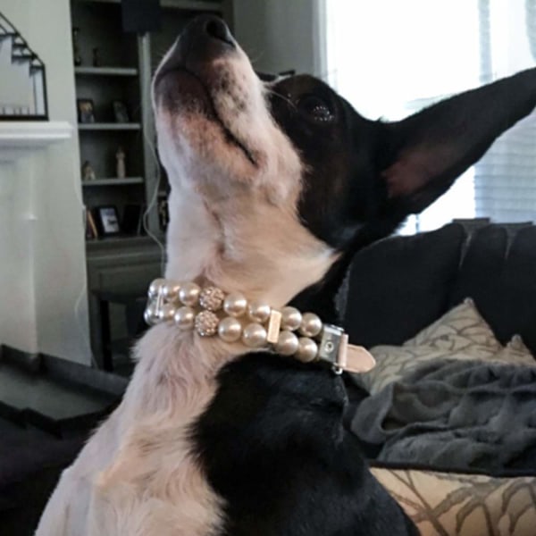 Strass smycken för husdjurshundar Chihuahua-hundhalsband, Pearl-hundhalsband, Bling-hundhalsbandsläder, juldekor för husdjur för valpar Katt-sällskapsdjur (S 1,5X29,5CM)