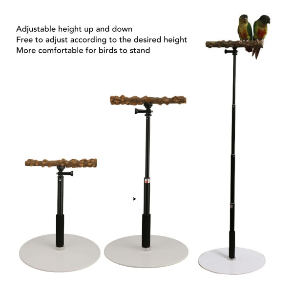 Naturlig tre fugleabborstativ, bærbart avtakbart fuglelekestativ Papegøyer Lekeplass Justerbar fugleabbor for innendørs utendørs reiser