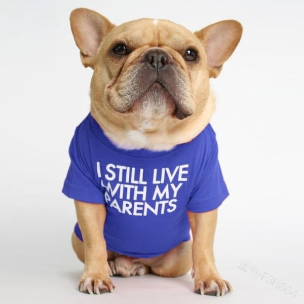 T-shirt för hund med text: Jag bor fortfarande hos mina föräldrar (Blå, XL)