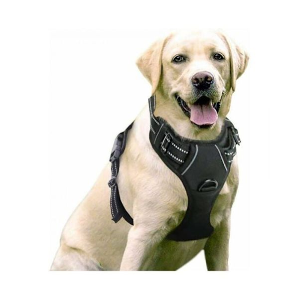 Justerbar Reflekterende No-Pull Hundesele Sort