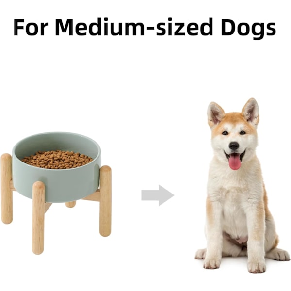 Keramisk Forhøjet Hundebolle med Stativ til Mellemstore og Store Racer Hundefoder og Vandskål (Enkel Skål med Stativ - Lysegrøn, 15,5 cm)