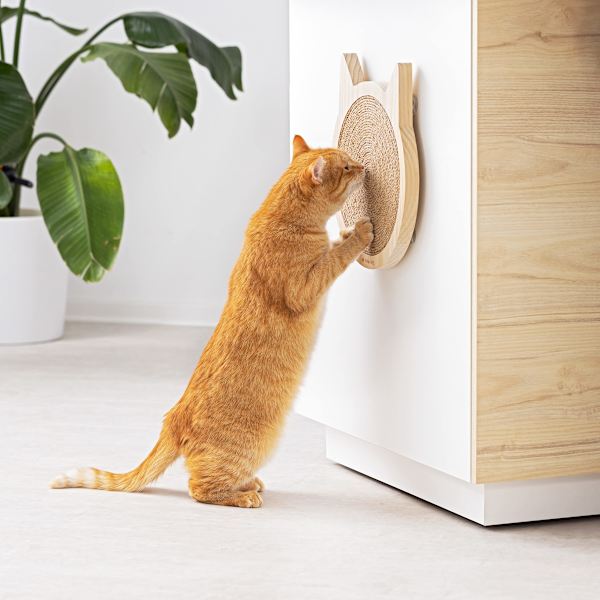 Kattklösbräda - Kattformad inomhusklösdyna