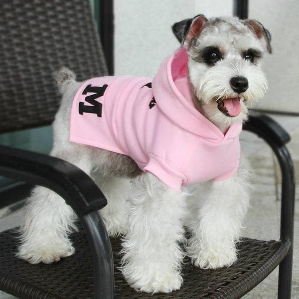 Hettegenser Moderne M Hundegenser til hunden Rosa Pink s
