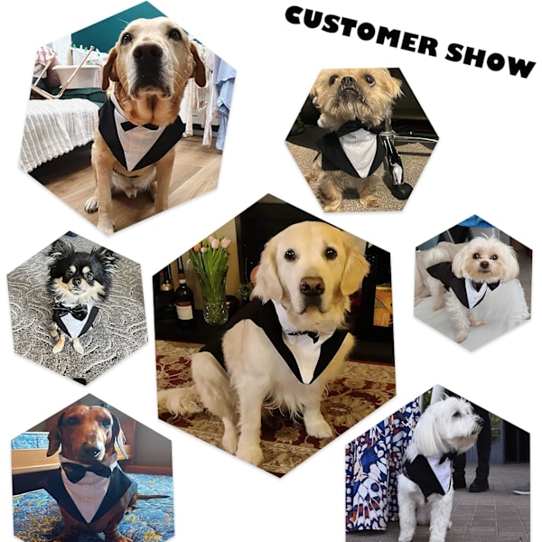 Hundekostume til Jul Halloween Hundedragt Hundetøj til Små Hunde Fødselsdag Bandana Hund Fancy Dress Kostumer Formelle Hund/Kat Smoking (Sort, L)