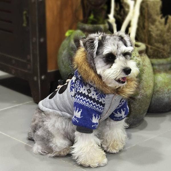 Talvitakki sarvinappuloilla koiralle Koiranvaatteet Sininen Blue m