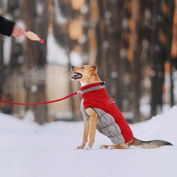 Vattentät Hundjacka för Små, Mellan och Stora Hundar, Reflekterande Kläder för Kallt Väder, Vindtät Fleecefodrad Väst med Sele, M Red M