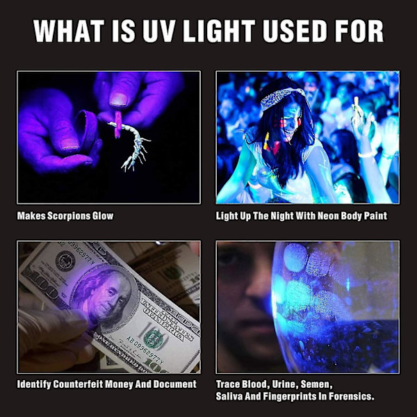 Led-osoitin Kissa Koira Lelut Lemmikkieläinten Led-valonosoitin USB-kaapelilla