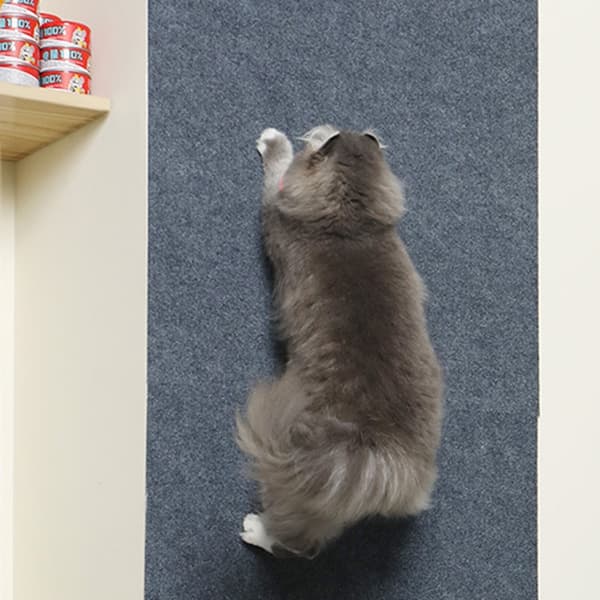 Kradsestolpe til kat S 39 S