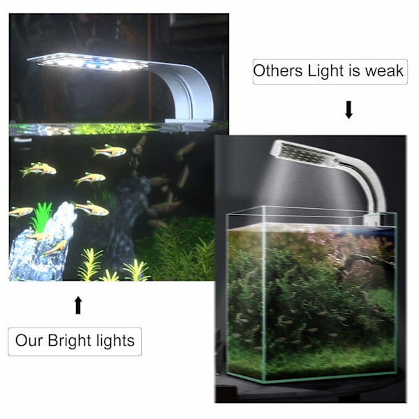 LED-akvarielampe med hvidt og blåt lys, 2,5A, hvid