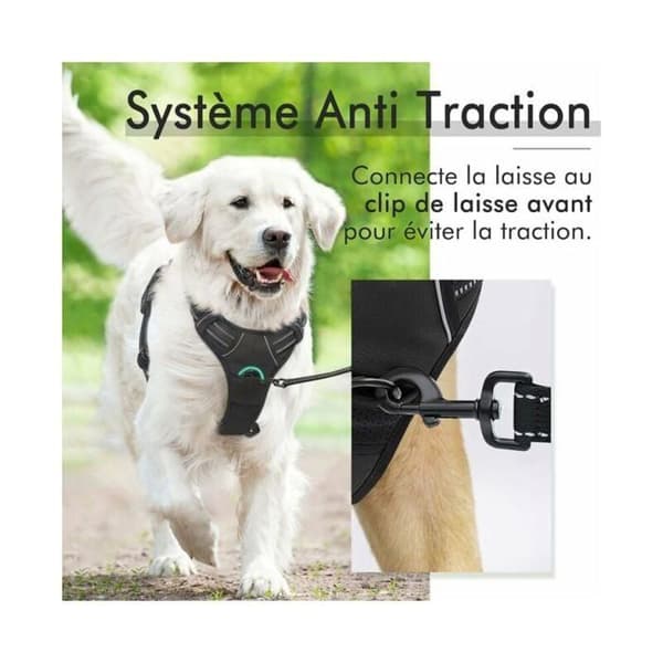 Justerbar Reflekterende No-Pull Hundesele Svart