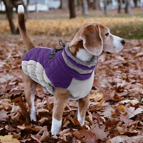 Vattentät Hundjacka för Små, Mellan och Stora Hundar, Reflekterande Kläder för Kallt Väder, Vindtät Fleecefodrad Väst med Sele, M Purple M