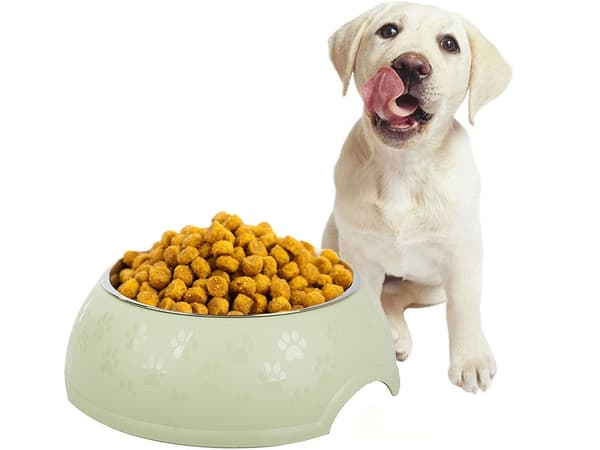 Hundemadskål / Vandskål til hund - 1.2L 450