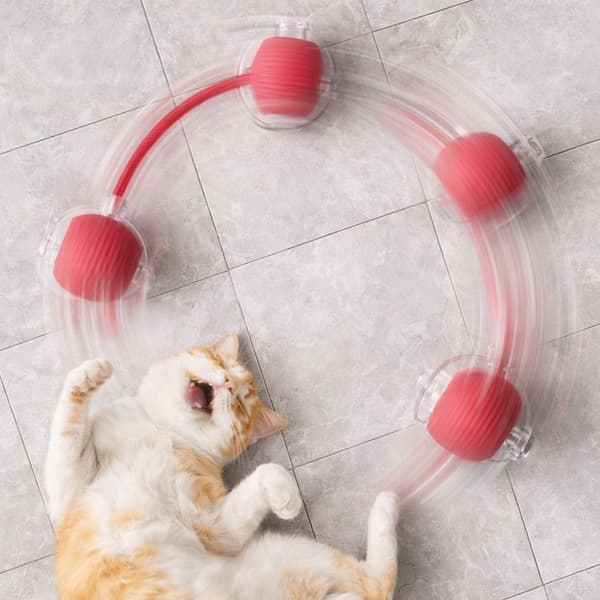 Smart interaktiv kattebold med snor RED 83