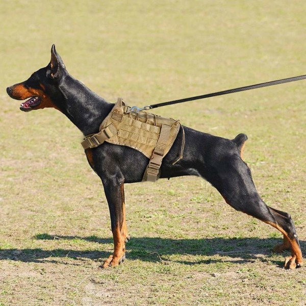 Sotilaallinen taktinen koira K9 työkoiran liivi nylon benjihihnaa