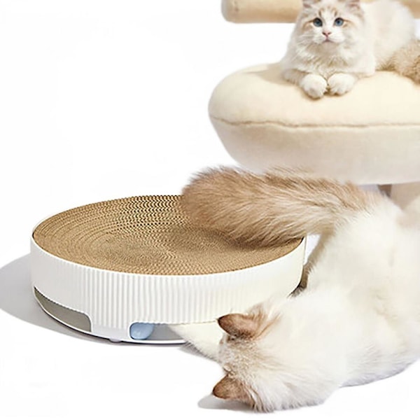 Kattens Klør, Kattens Kløyleke, Rundt Brettkløepute, Kattens Kløyleke, Klør Sofa Seng Kattemynte