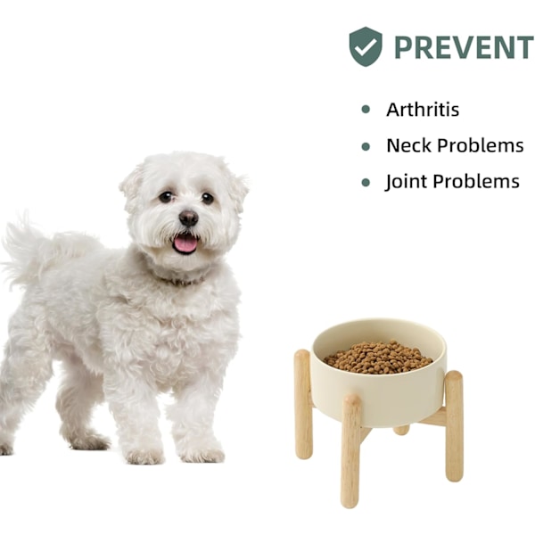 Keramisk Forhøjet Hundebolle med Stativ til Mellemstore og Store Racer Hundefoder og Vandskål (Enkel Skål med Stativ - Lysegrøn, 15,5 cm)