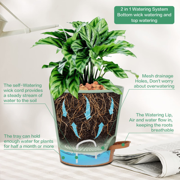 6 STK Selvvandende plantepotter indendørs, plast urtepotter, grøn
